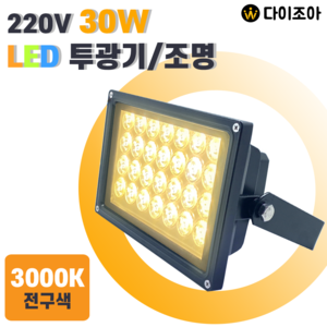 [반값] 파룩스 220V 30W 3000K 고정형 친환경 흑색 LED 투광기/ 투광등기구/ LED램프/ 공장등 PSP-LED30W